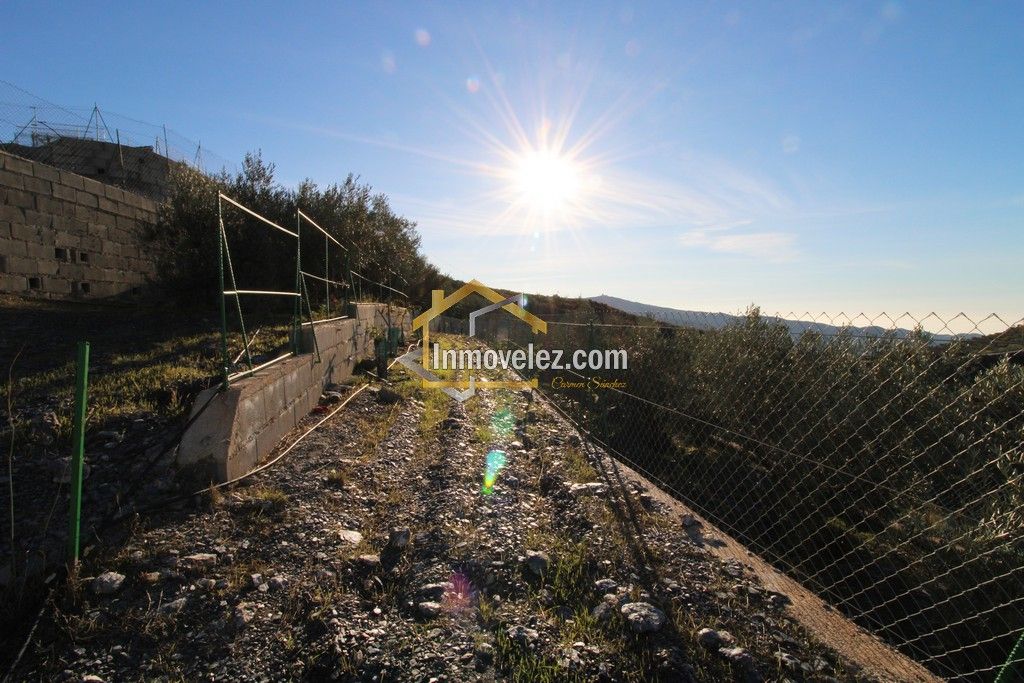 Cortijo en Vélez de Benaudalla (Ref.:0331)