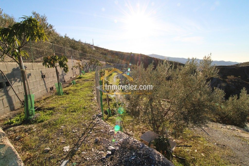 Cortijo en Vélez de Benaudalla (Ref.:0331)