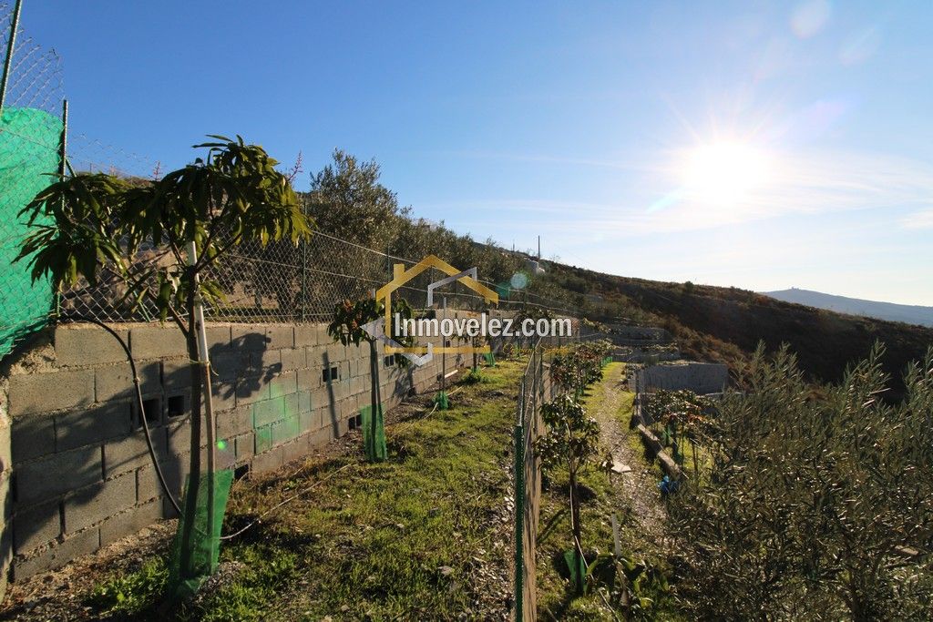 Cortijo en Vélez de Benaudalla (Ref.:0331)