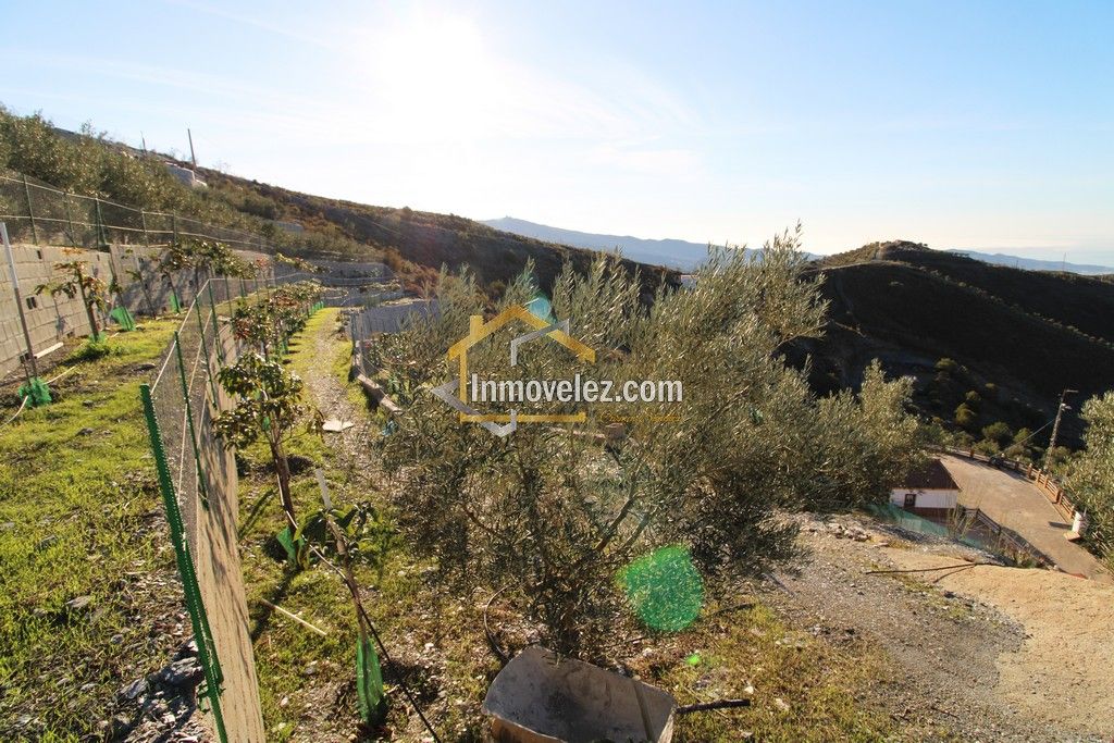 Cortijo en Vélez de Benaudalla (Ref.:0331)