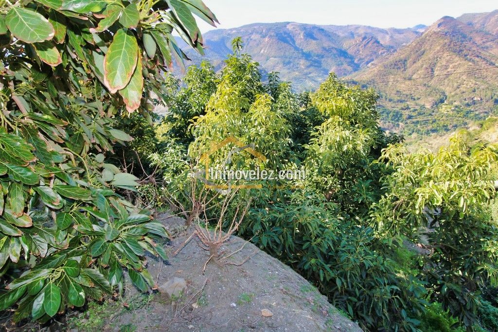 Finca en Guajar Faragüit (Ref.:0343)