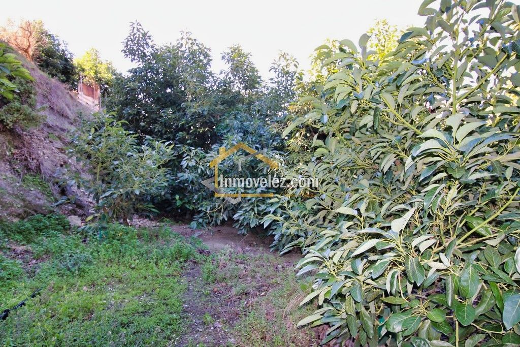 Finca en Guajar Faragüit (Ref.:0343)