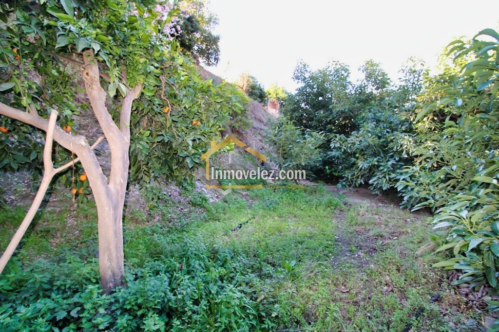 Finca en Guajar Faragüit (Ref.:0343)