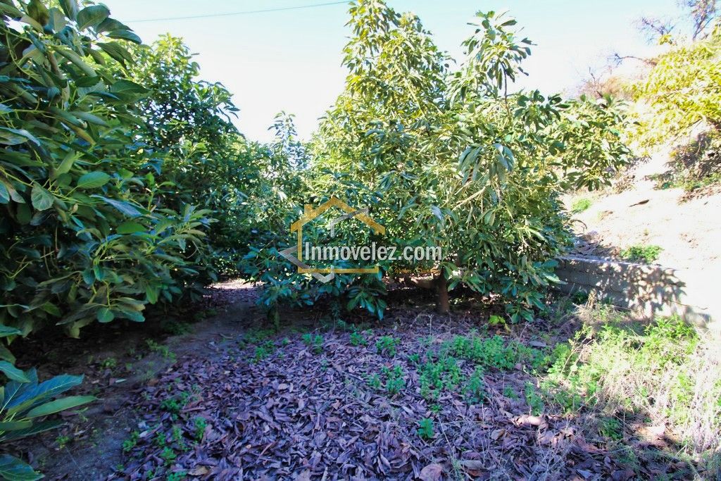 Finca en Guajar Faragüit (Ref.:0343)