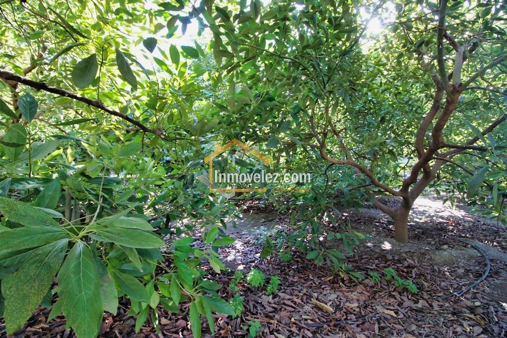 Finca en Guajar Faragüit (Ref.:0343)