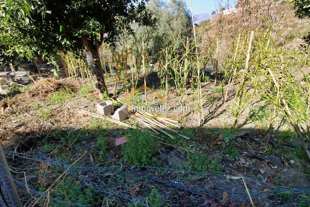 Finca en Guajar Faragüit (Ref.:0343)