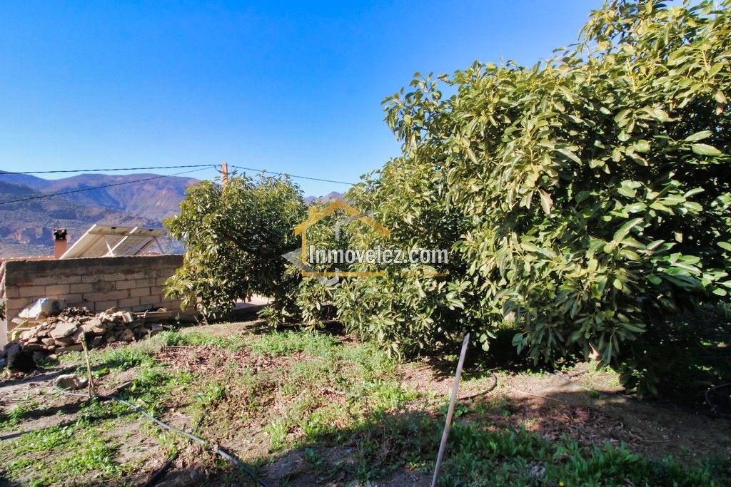 Finca en Guajar Faragüit (Ref.:0343)