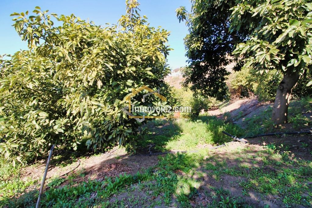 Finca en Guajar Faragüit (Ref.:0343)
