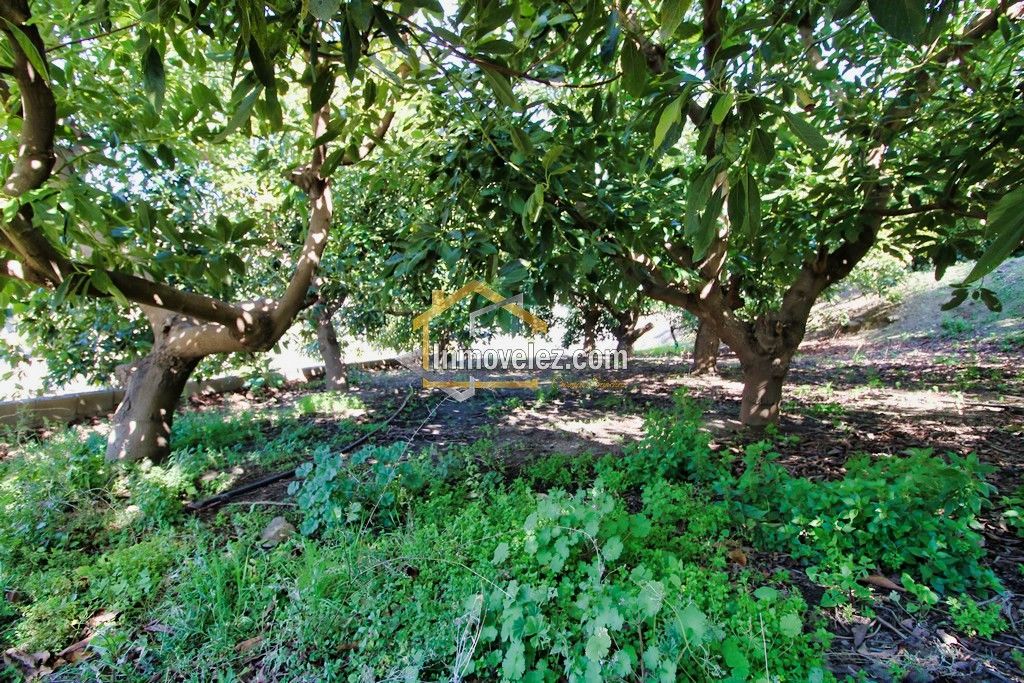 Finca en Guajar Faragüit (Ref.:0343)