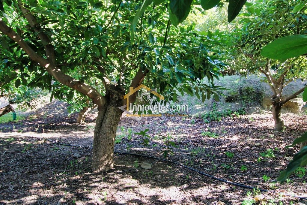 Finca en Guajar Faragüit (Ref.:0343)