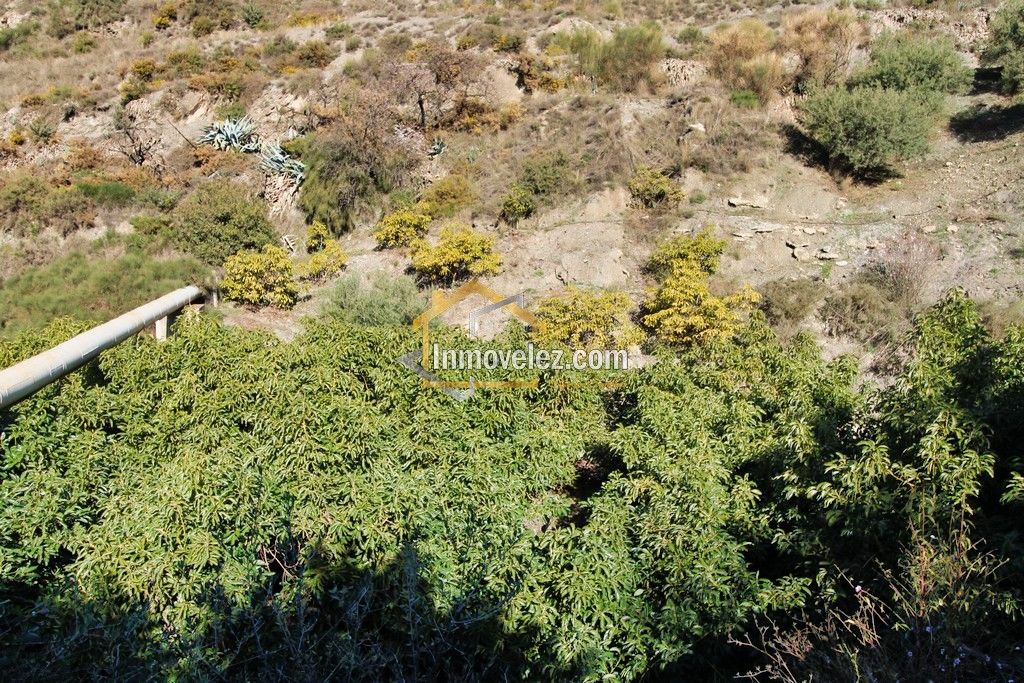 Finca en Guajar Faragüit (Ref.:0343)