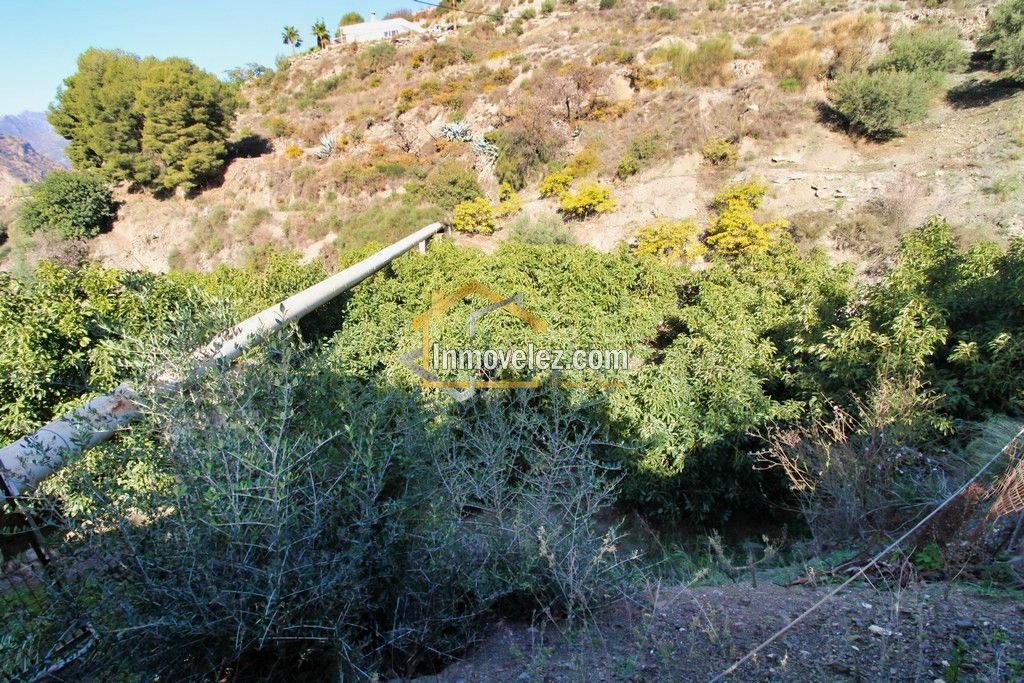Finca en Guajar Faragüit (Ref.:0343)