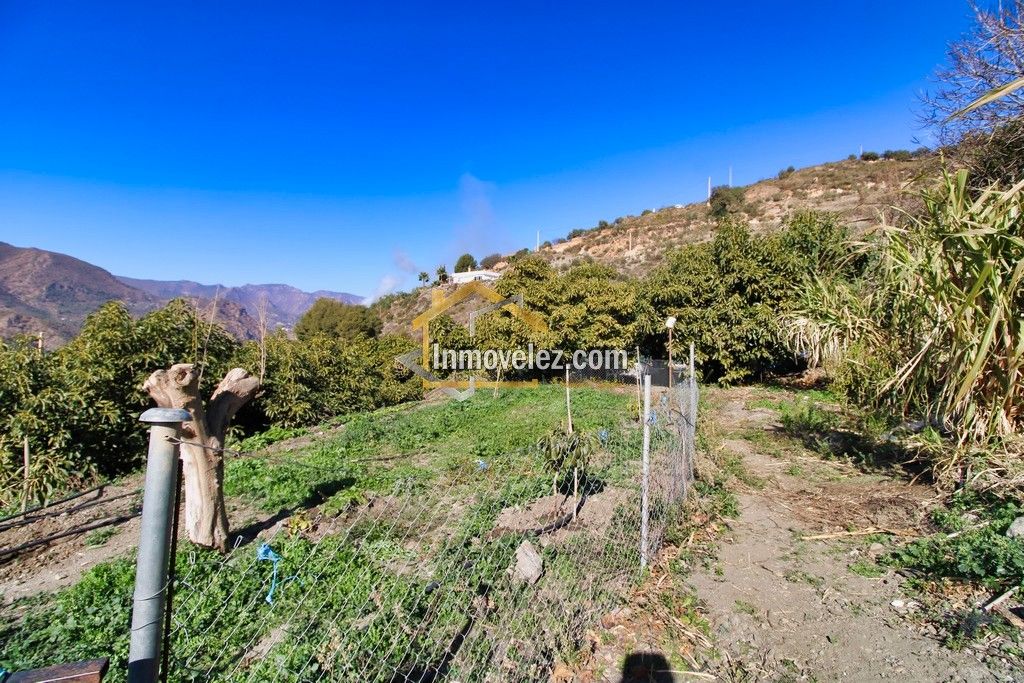 Finca en Guajar Faragüit (Ref.:0343)