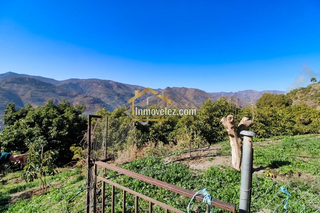 Finca en Guajar Faragüit (Ref.:0343)