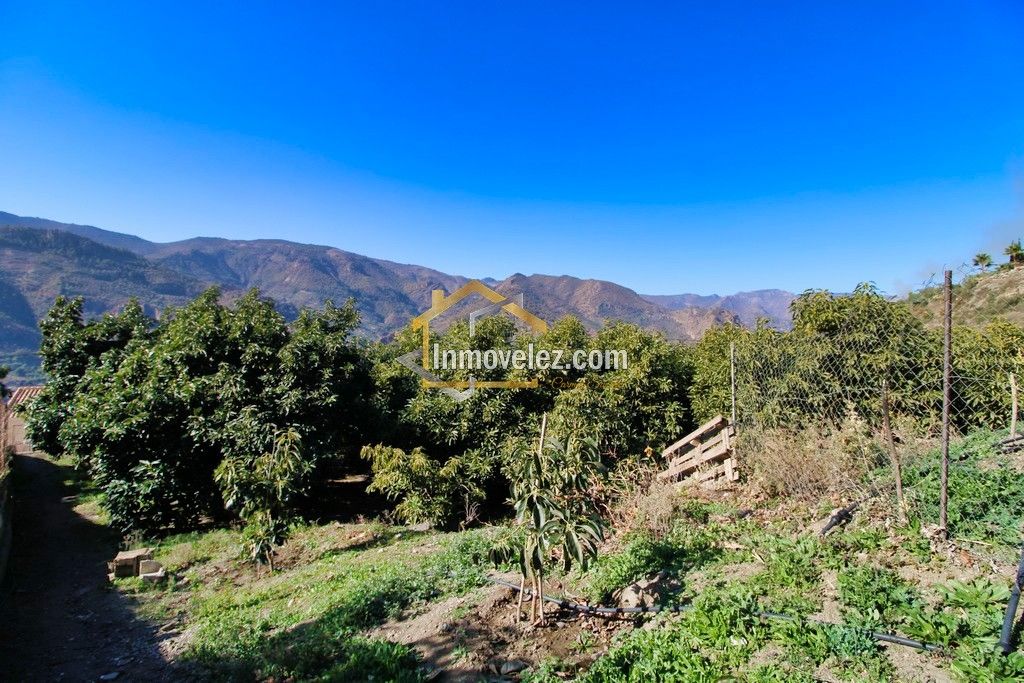 Finca en Guajar Faragüit (Ref.:0343)