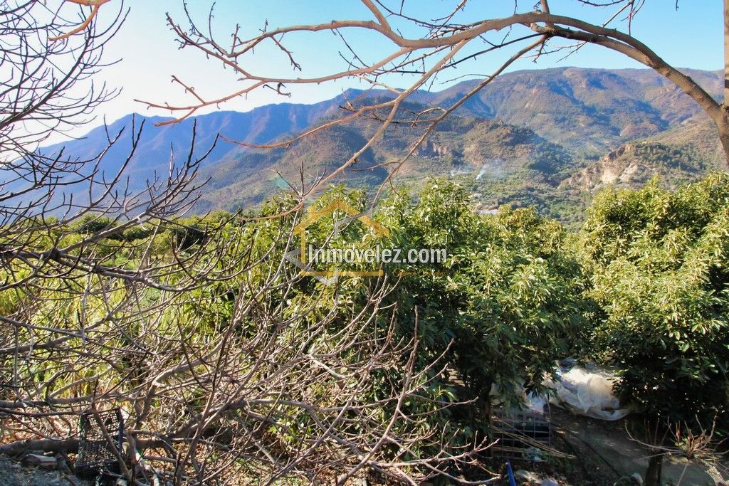 Finca en Guajar Faragüit (Ref.:0343)