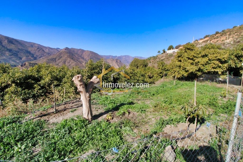 Finca en Guajar Faragüit (Ref.:0343)