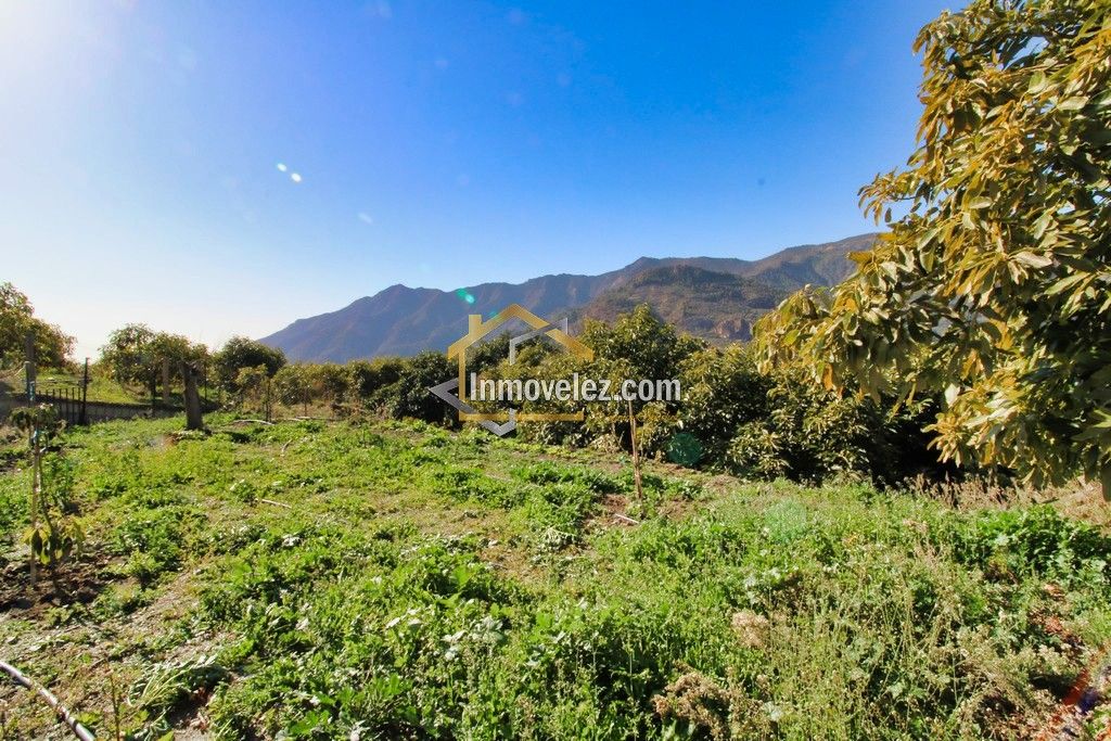 Finca en Guajar Faragüit (Ref.:0343)