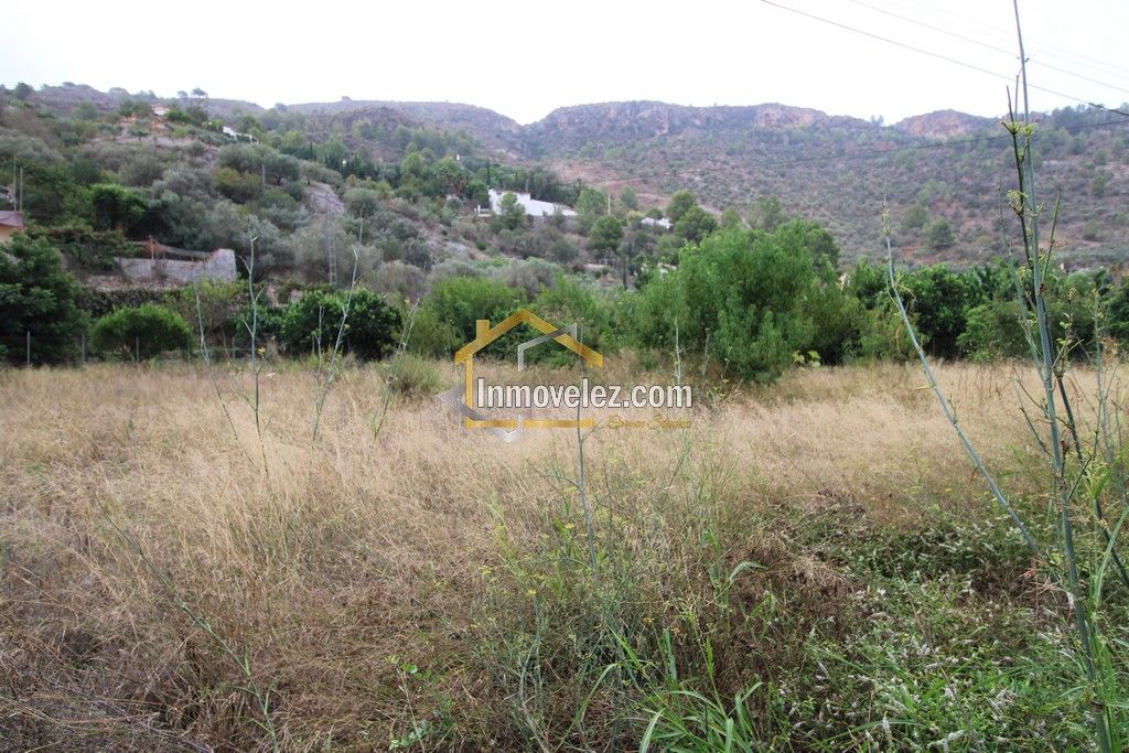 Finca Rústica (Ref.:0368)