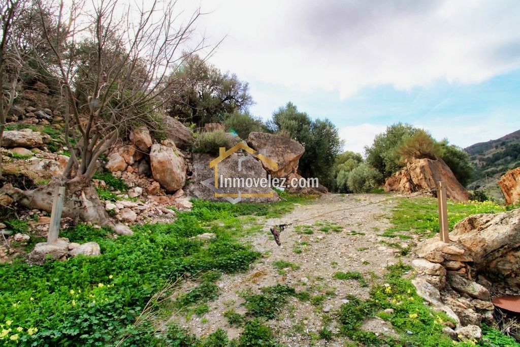 Finca en Vélez de Benaudalla (Ref.:0385)