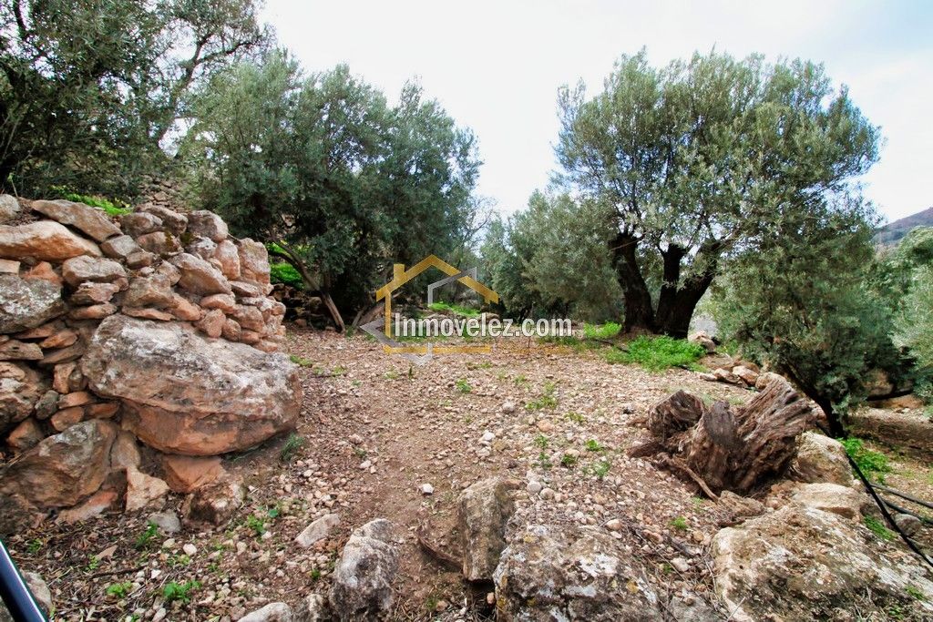 Finca en Vélez de Benaudalla (Ref.:0385)