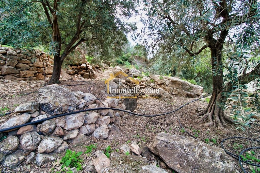 Finca en Vélez de Benaudalla (Ref.:0385)