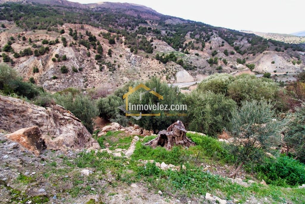 Finca en Vélez de Benaudalla (Ref.:0385)