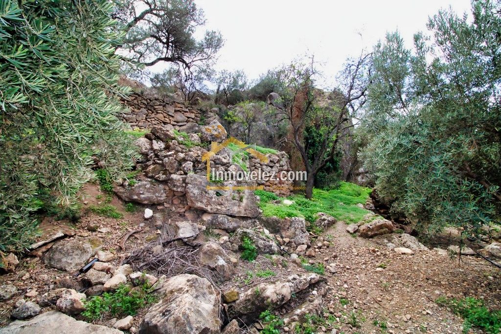 Finca en Vélez de Benaudalla (Ref.:0385)