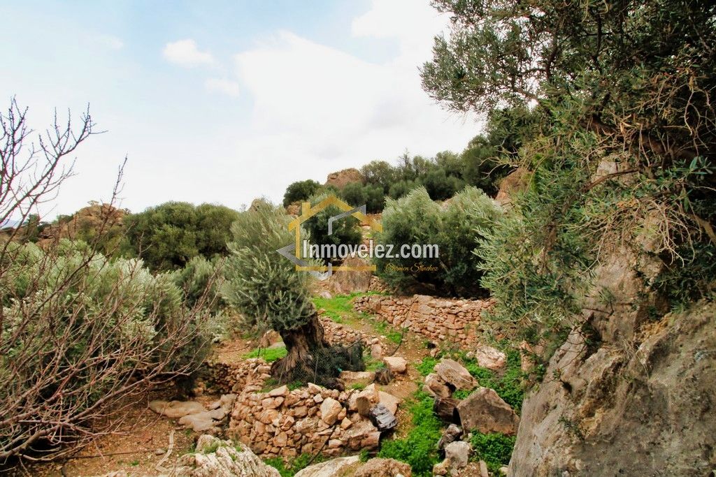 Finca en Vélez de Benaudalla (Ref.:0385)