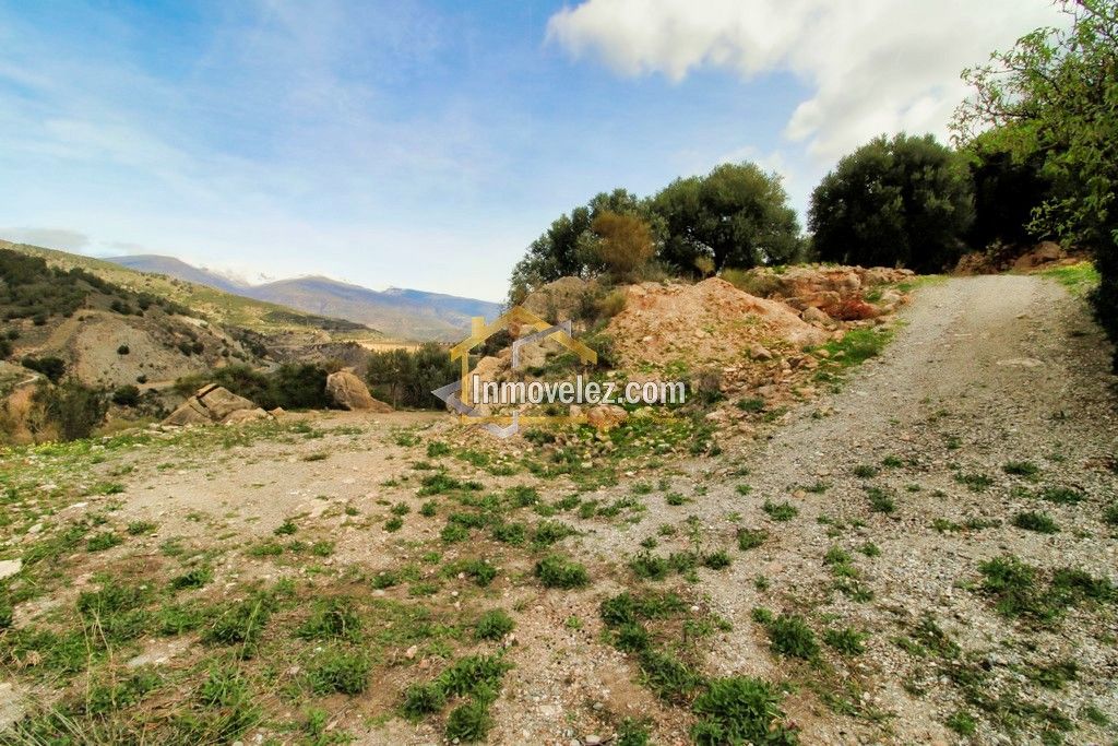 Finca en Vélez de Benaudalla (Ref.:0385)