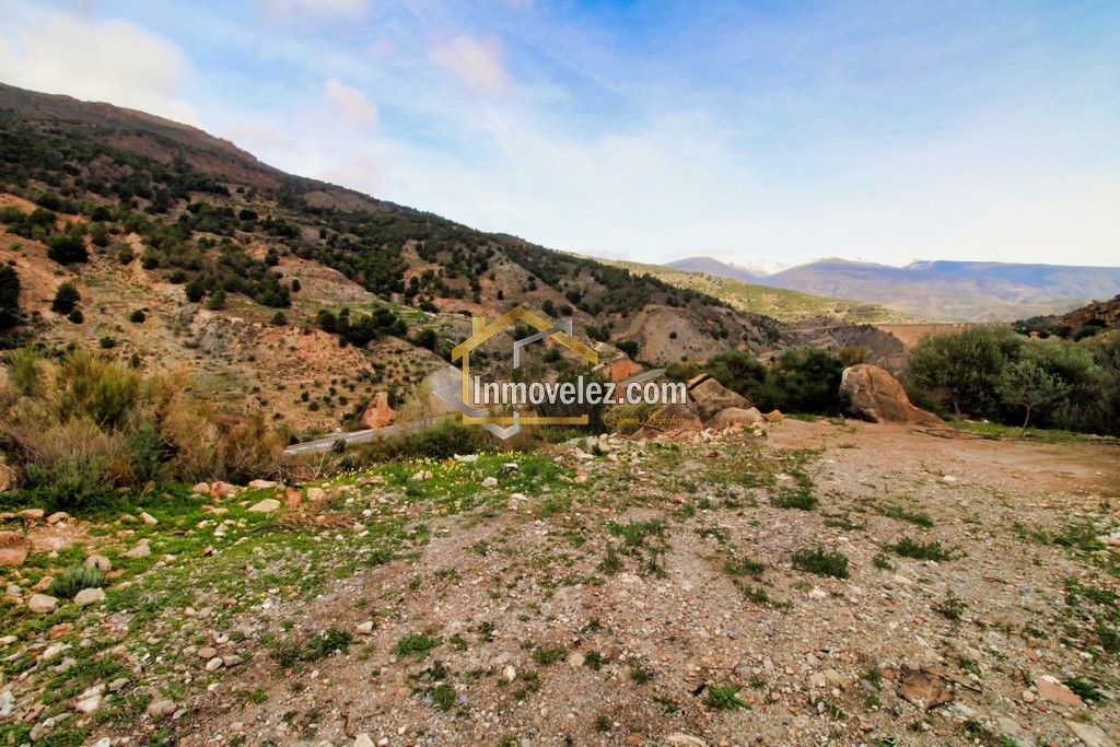 Finca en Vélez de Benaudalla (Ref.:0385)