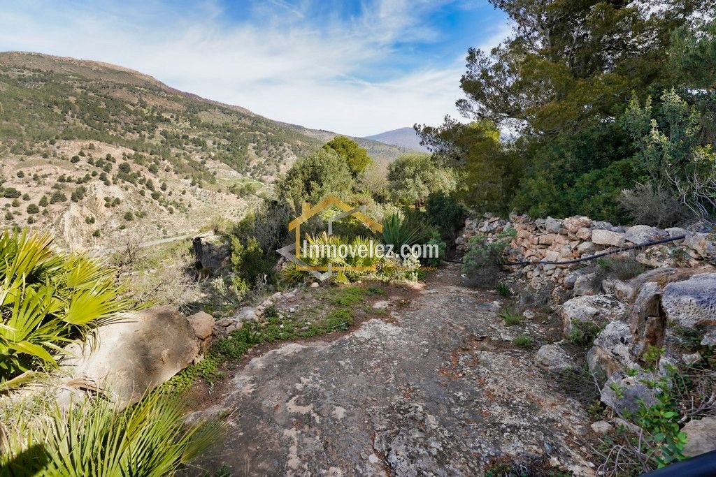 Cortijo en Vélez Benaudalla (Ref.:0388)