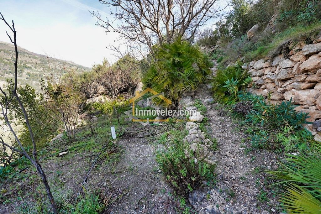 Cortijo en Vélez Benaudalla (Ref.:0388)