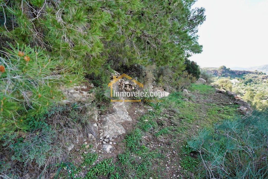 Cortijo en Vélez Benaudalla (Ref.:0388)