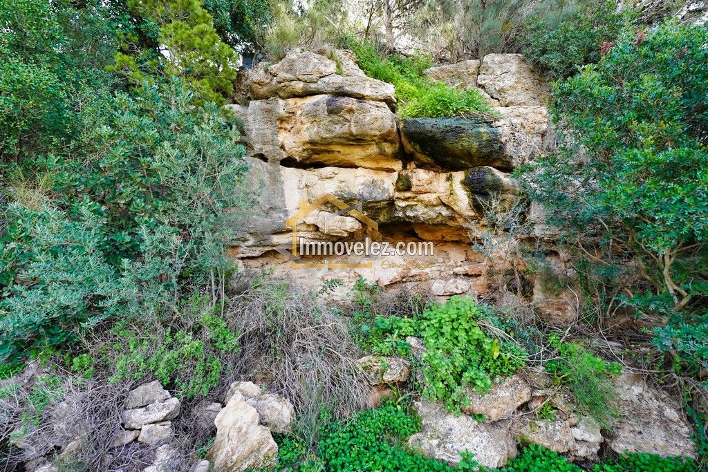 Cortijo en Vélez Benaudalla (Ref.:0388)