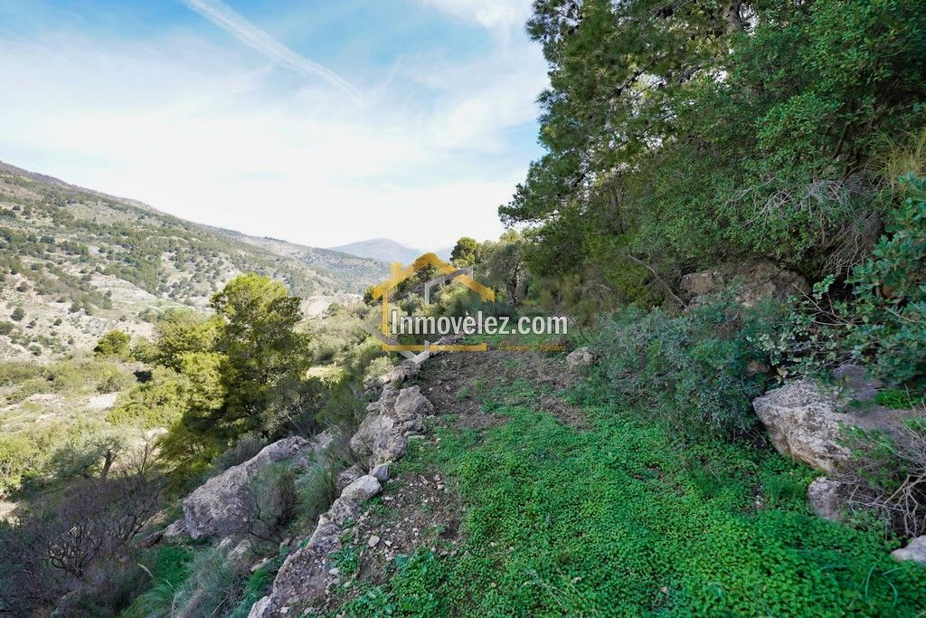 Cortijo en Vélez Benaudalla (Ref.:0388)