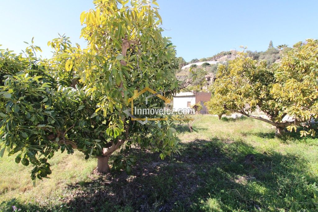 Finca con Apero (Ref.:0431)