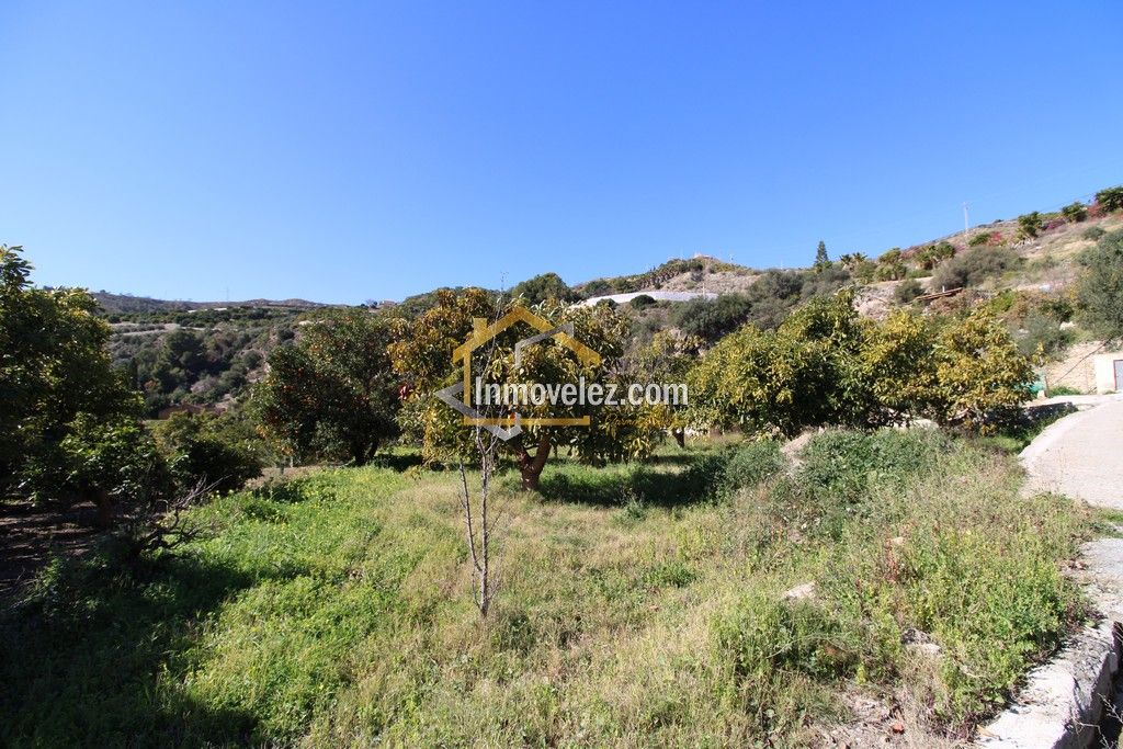 Finca con Apero (Ref.:0431)