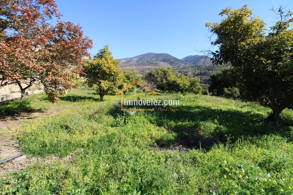 Finca con Apero (Ref.:0431)