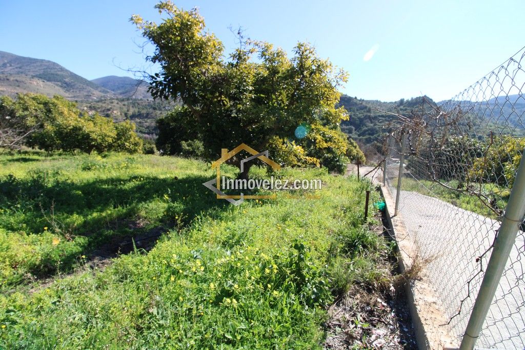 Finca con Apero (Ref.:0431)