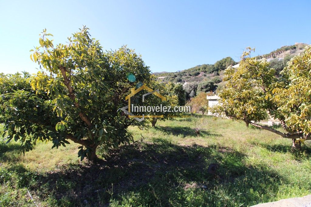 Finca con Apero (Ref.:0431)