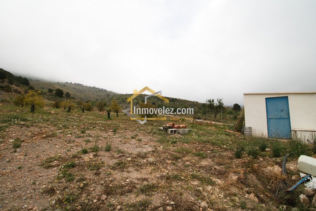 Cortijo en Vélez de Benaudalla (Ref.:0478)