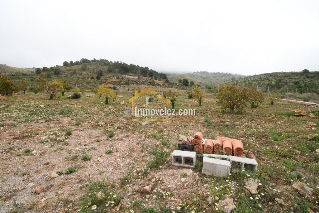 Cortijo en Vélez de Benaudalla (Ref.:0478)
