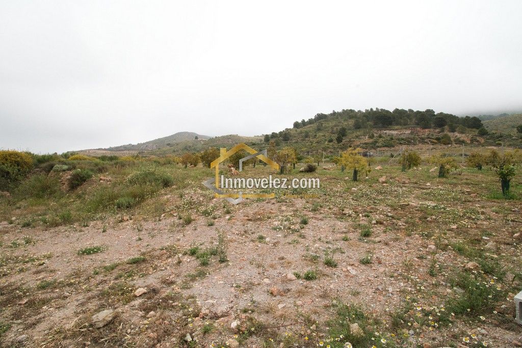 Cortijo en Vélez de Benaudalla (Ref.:0478)