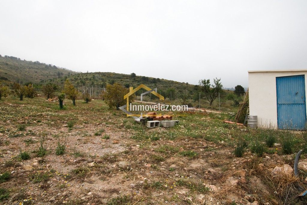 Cortijo en Vélez de Benaudalla (Ref.:0478)