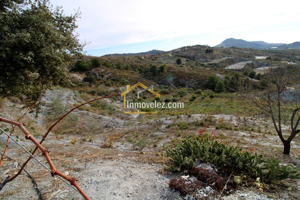 Finca Vélez de Benaudalla (Ref.:0278)