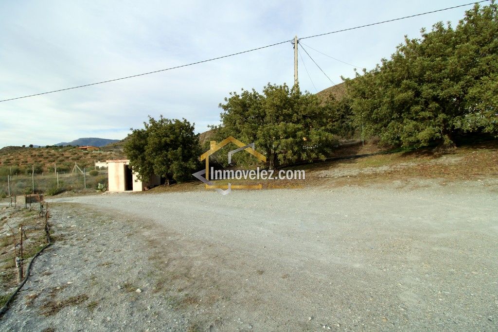 Finca Vélez de Benaudalla (Ref.:0278)