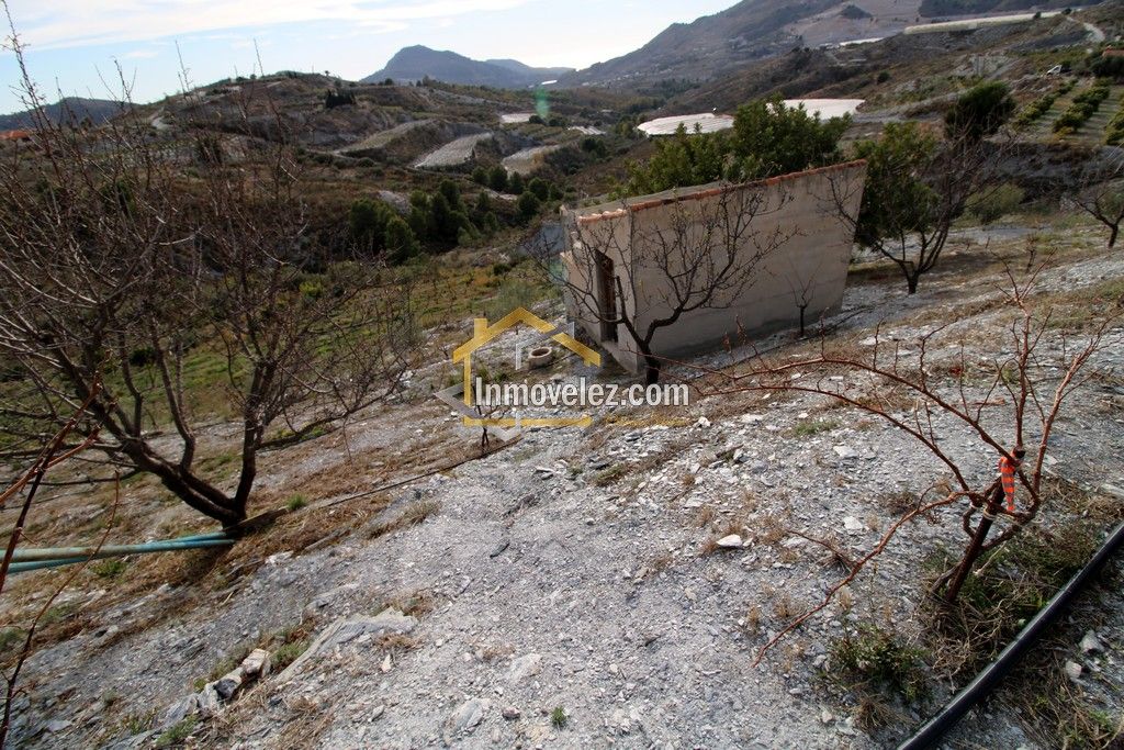 Finca Vélez de Benaudalla (Ref.:0278)