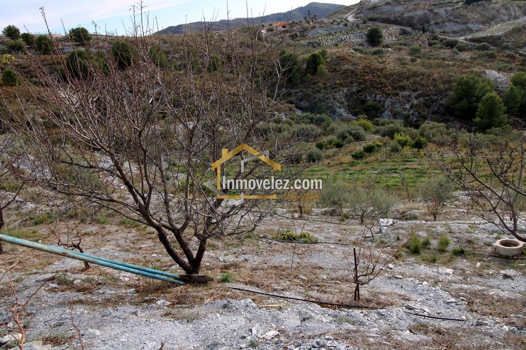 Finca Vélez de Benaudalla (Ref.:0278)