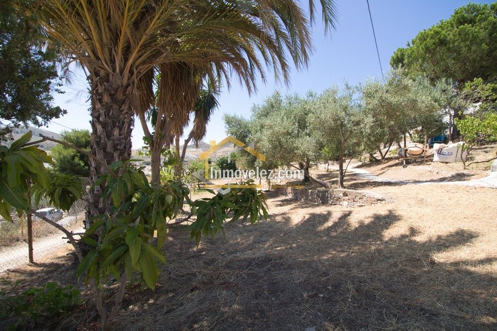Cortijo en Vélez de Benaudalla (Ref.:0485)